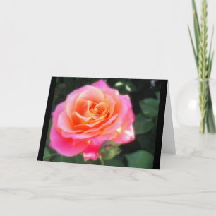 Hübsches Rosa- und Orange-Rose-Macro-Foto Karte