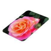 Hübsches Rosa- und Orange-Rose-Macro-Foto Magnet (Linke Seite)