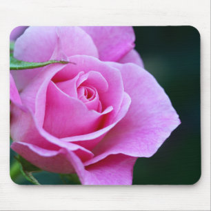 Hübsches Rosenfoto Mousepad