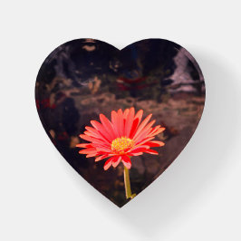 Hübsches Rotes Blume Gelbes Mittelglas Papergewich Briefbeschwerer
