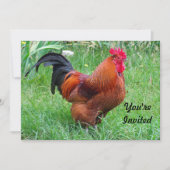 Hübsches Rothühnerprofil Foto Geburtstag Einladung (Vorderseite)