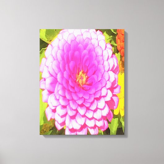 Hübsches Round Pink Zinnia im Sommergarten Leinwanddruck (Vorderseite)