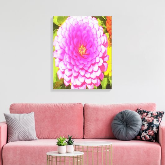 Hübsches Round Pink Zinnia im Sommergarten Leinwanddruck (Insitu (Wohnzimmer))