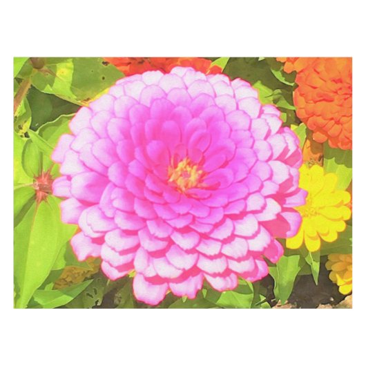 Hübsches Round Pink Zinnia im Sommergarten Tischdecke (Vorderseite (Horizontal))