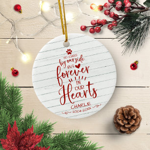 Hübsches rustikales Landhaus Katzen- oder Hundeden Keramik Ornament