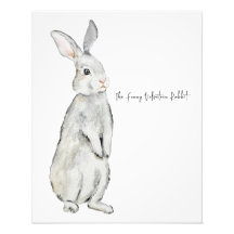 Hübsches Samtkaninchen