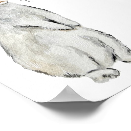 Hübsches Samtkaninchen Poster (Ecke)