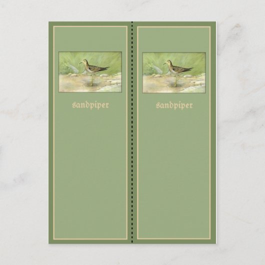 Hübsches Sandpiper-Lesezeichen Postkarte (Vorderseite)