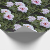 Hübsches Schleifpapier für Peonys Geschenkpapier (Ecke)
