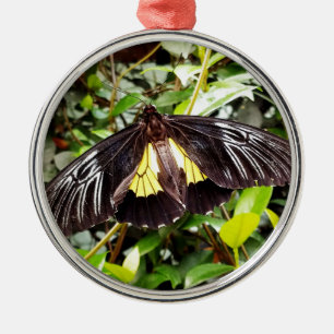 hübsches Schwarz-Gelb-Schmetterling-Foto Ornament Aus Metall