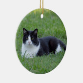Hübsches Schwarz-Weiß-Tuxedo-Kat-Foto Keramik Ornament (Rechts)