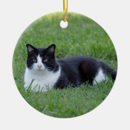 Hübsches Schwarz-Weiß-Tuxedo-Kat-Foto Keramik Ornament