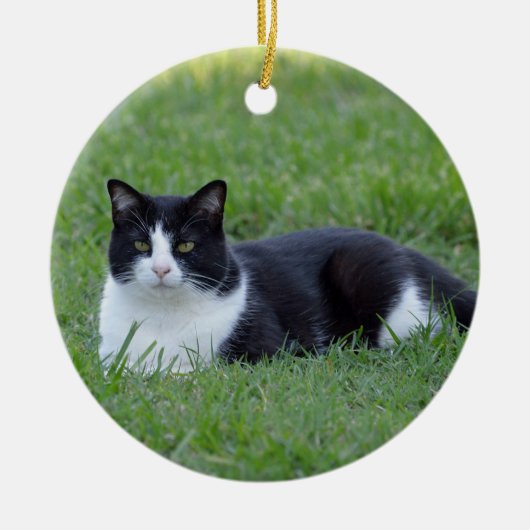 Hübsches Schwarz-Weiß-Tuxedo-Kat-Foto Keramik Ornament (Vorne)