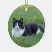 Hübsches Schwarz-Weiß-Tuxedo-Kat-Foto Keramik Ornament (Links)
