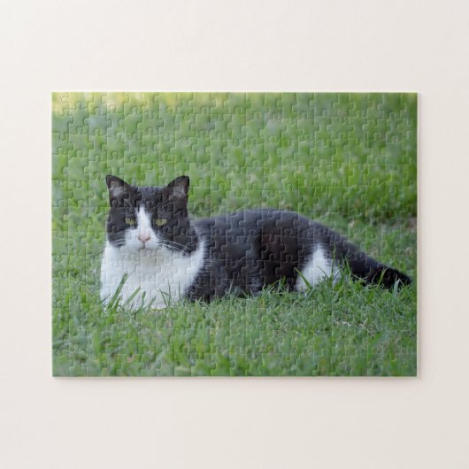 Hübsches Schwarz-Weiß-Tuxedo-Kat-Foto Puzzle (Horizontal)