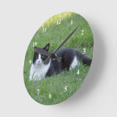 Hübsches Schwarz-Weiß-Tuxedo-Kat-Foto Runde Wanduhr (Winkel)
