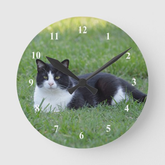 Hübsches Schwarz-Weiß-Tuxedo-Kat-Foto Runde Wanduhr (Vorderseite)