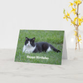 Hübsches Schwarz-Weiß-Tuxedo-Katze Foto Geburtstag Karte (Gelbe Blume)