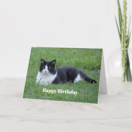 Hübsches Schwarz-Weiß-Tuxedo-Katze Foto Geburtstag Karte