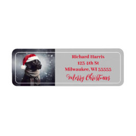 Hübsches Schwarzes Labor in Scarf und Weihnachtsma