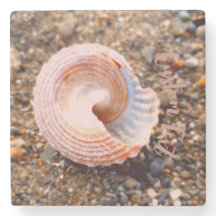 Hübsches Seashell am Rocky Beach mit benutzerdefin