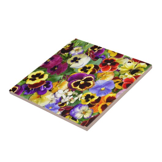 Hübsches Stiefmütterchen Fliese (Seite)