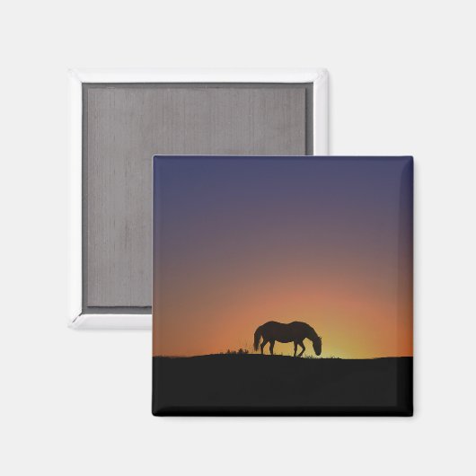 Hübsches Südwestpferd Magnet (Vorderseite/Rückseite)