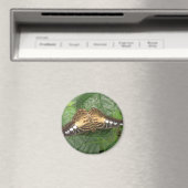 Hübsches Tropenklappenmagnet Magnet (In Situ (Geschirrspüler))