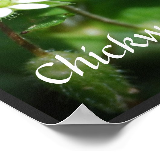 Hübsches Unkrautposter Poster (Ecke)