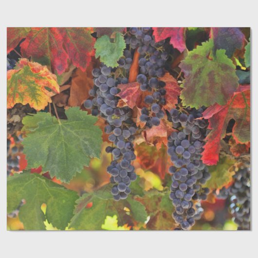 Hübsches Weintraubenpapier Geschenkpapier (Flach)