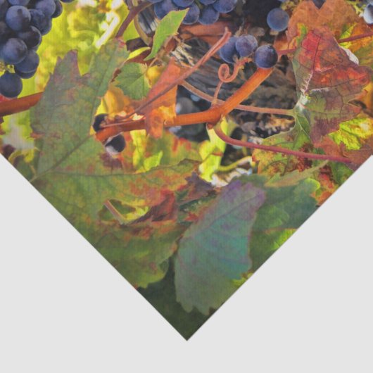 Hübsches Weintraubenpapier Seidenpapier (Ausschnitt)