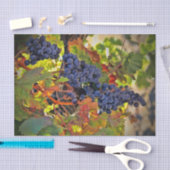 Hübsches Weintraubenpapier Seidenpapier (Handwerk)