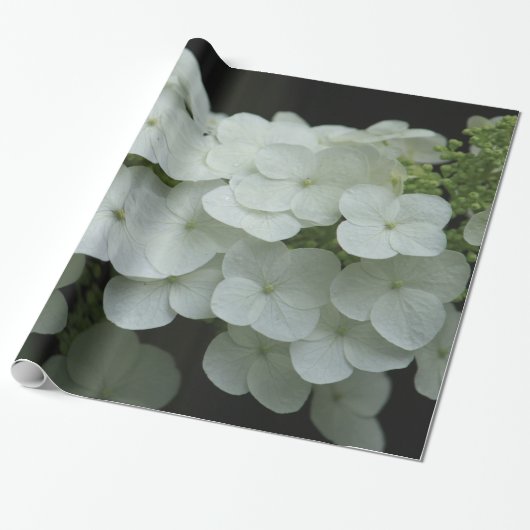 Hübsches Weiß-Hydrangea-Foto Geschenkpapier (Ungerollt)