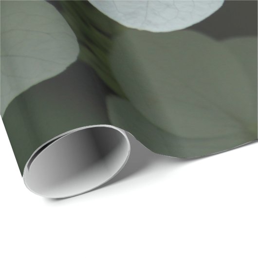 Hübsches Weiß-Hydrangea-Foto Geschenkpapier (Rolleneckpunkt)