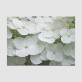 Hübsches Weiß-Hydrangea-Foto Seidenpapier