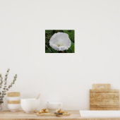 Hübsches weißes Convolvula-Blume-Poster Poster (Küche)