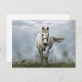 Hübsches weißes Hornwolkenfleisch-Foto Postkarte (Vorne/Hinten)