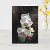 Hübsches weißes Orchideen-Beileid oder danken Karte (Gelbe Blume)