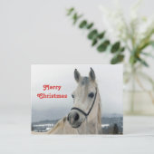 Hübsches Weißes Pferd Foto Weihnachten Postkarte (Stehend Vorderseite)