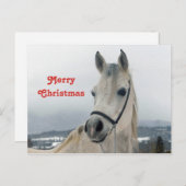 Hübsches Weißes Pferd Foto Weihnachten Postkarte (Vorne/Hinten)