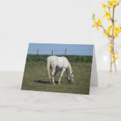 Hübsches Weißpferd, Stehend in Feldantrieb Karte (Gelbe Blume)