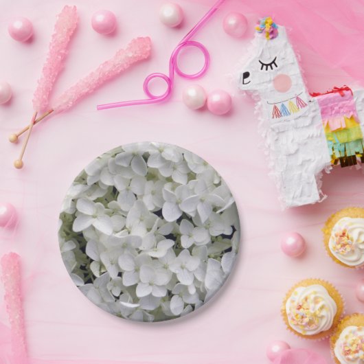 Hübsches White Hydrangea Closeup-Foto Pappteller (Party)