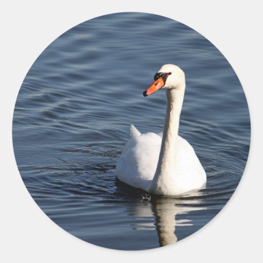 Hübsches White Swan-Foto Runder Aufkleber (Vorderseite)