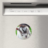 Hübsches Ziegenkid Magnet (In Situ (Geschirrspüler))