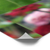 Hübsches Zinnia mit Biene Poster (Ecke)