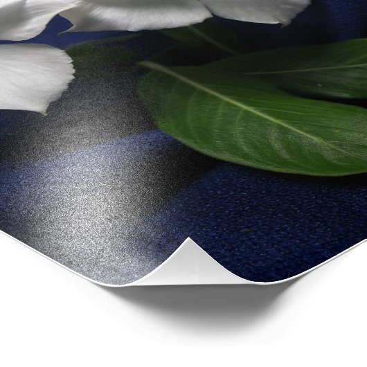 Hubschrauber-Blume Fotodruck (Ecke)