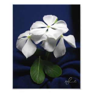 Hubschrauber-Blumen Fotodruck