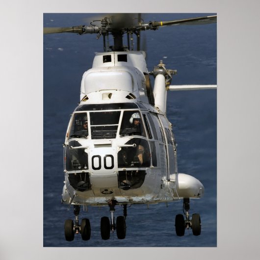 Hubschrauber des Puma-SA-330 Poster (Vorne)
