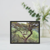 Huckleberry Preserve Postkarte (Stehend Vorderseite)