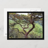 Huckleberry Preserve Postkarte (Vorne/Hinten)